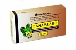 Гамамелис